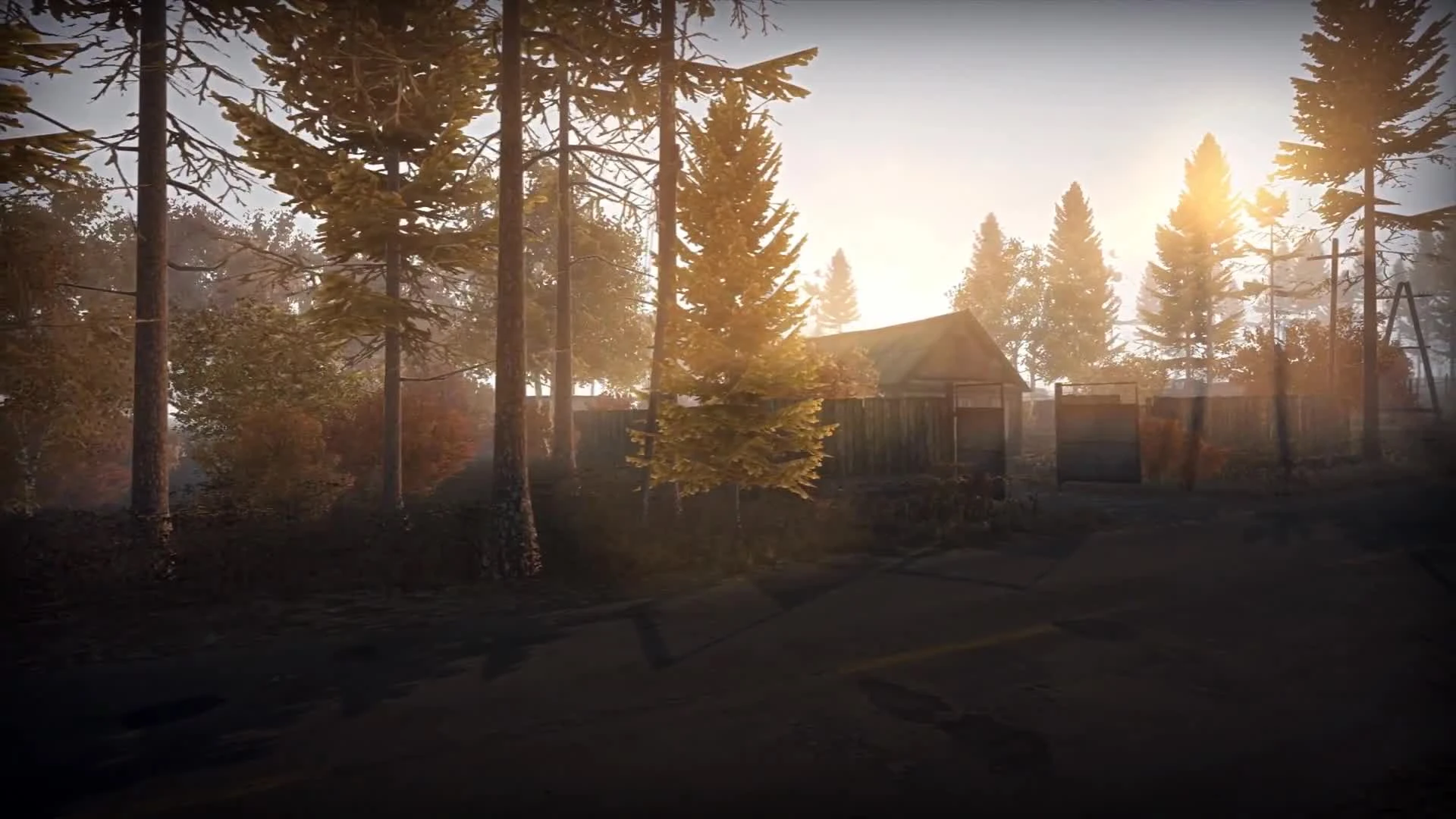 Новый трейлер Next Day: Survival