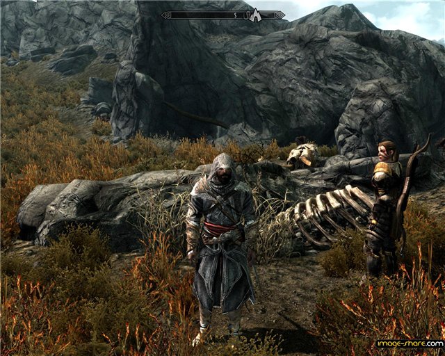 TES 5: Skyrim "Реплэйсер брони темного братства"