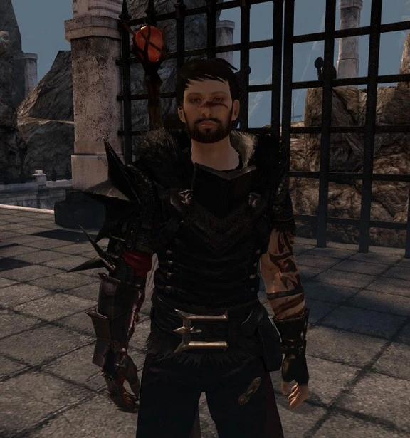 Dragon Age 2 "Hawke face"