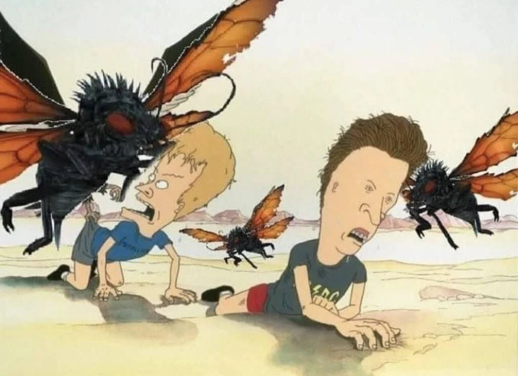 Бивис и Баттхед на пустошах Фаллаут