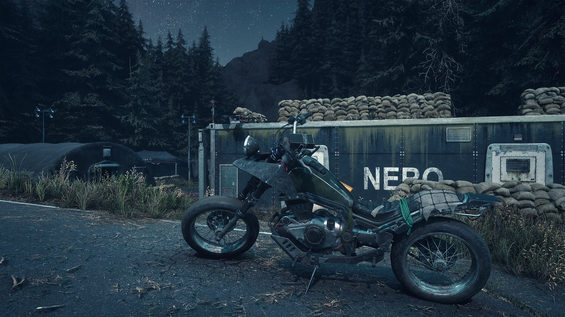 Days Gone "Кинематографический пресет"