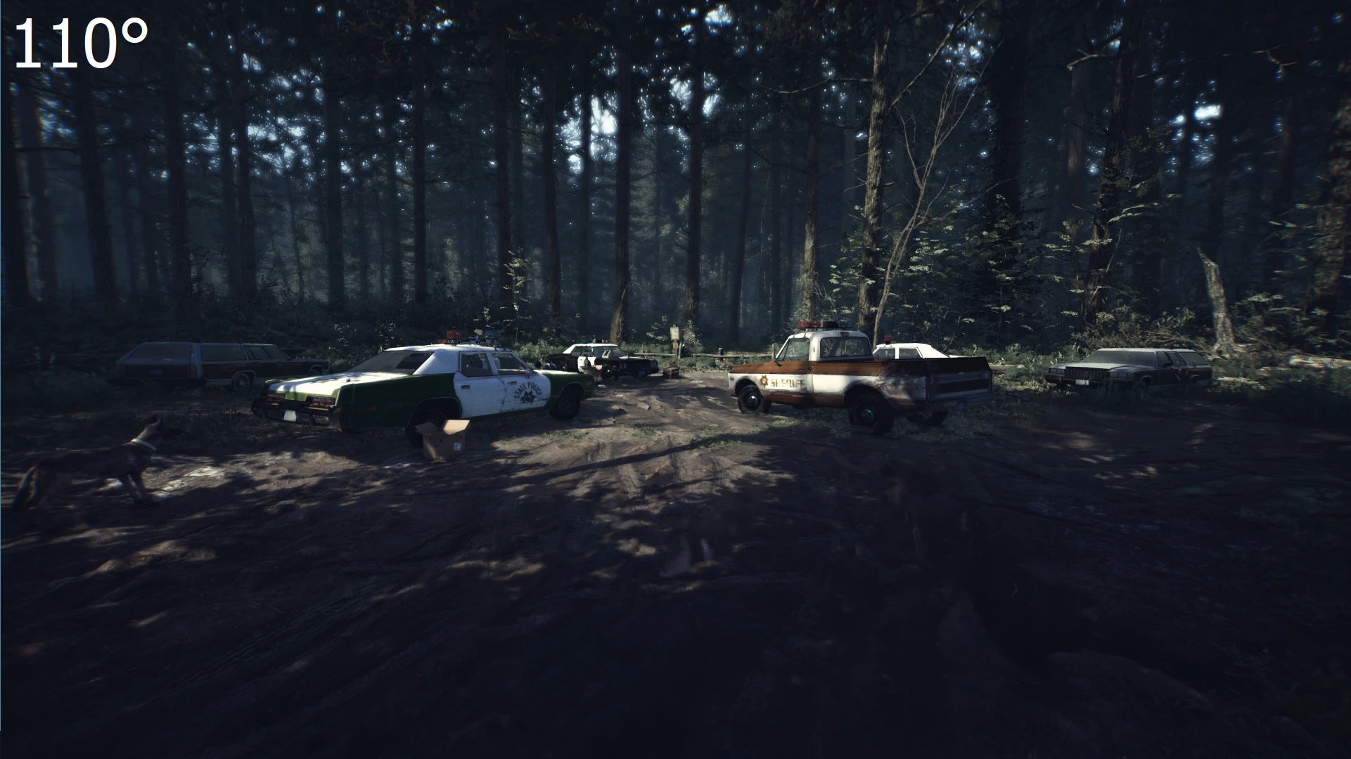 Blair Witch "Изменение FOV"