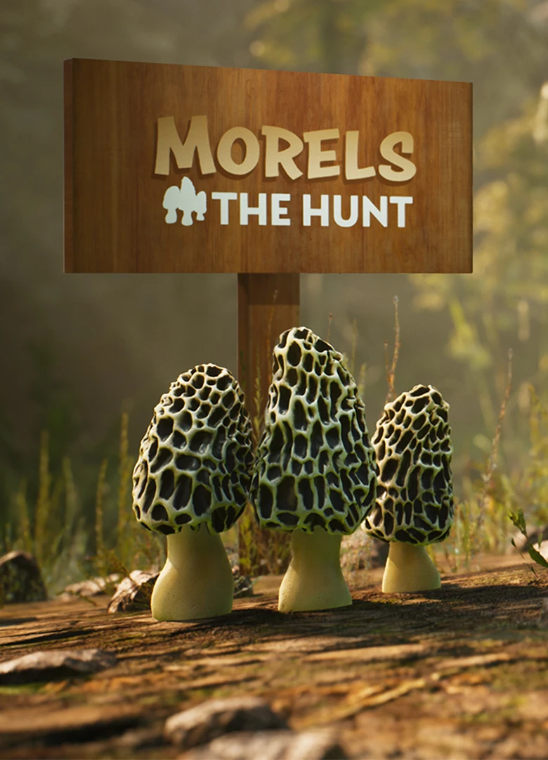 Morels: The Hunt