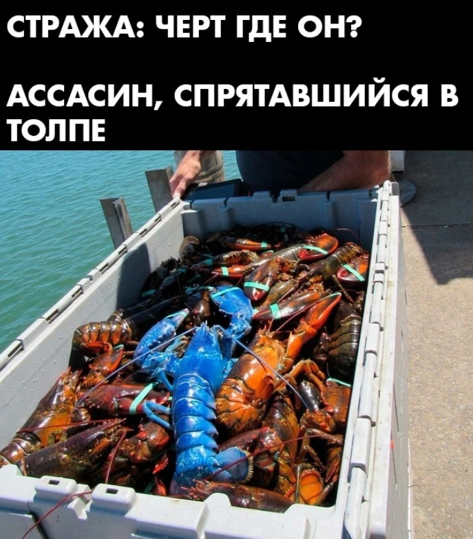 Ассасин в толпе