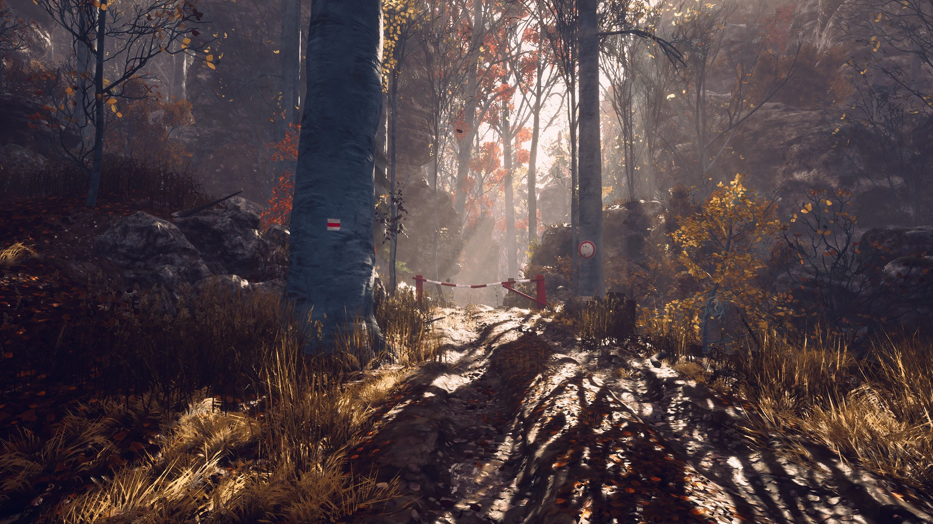 CBE Software удаляет контент из Someday You'll Return, чтобы улучшить общую игру