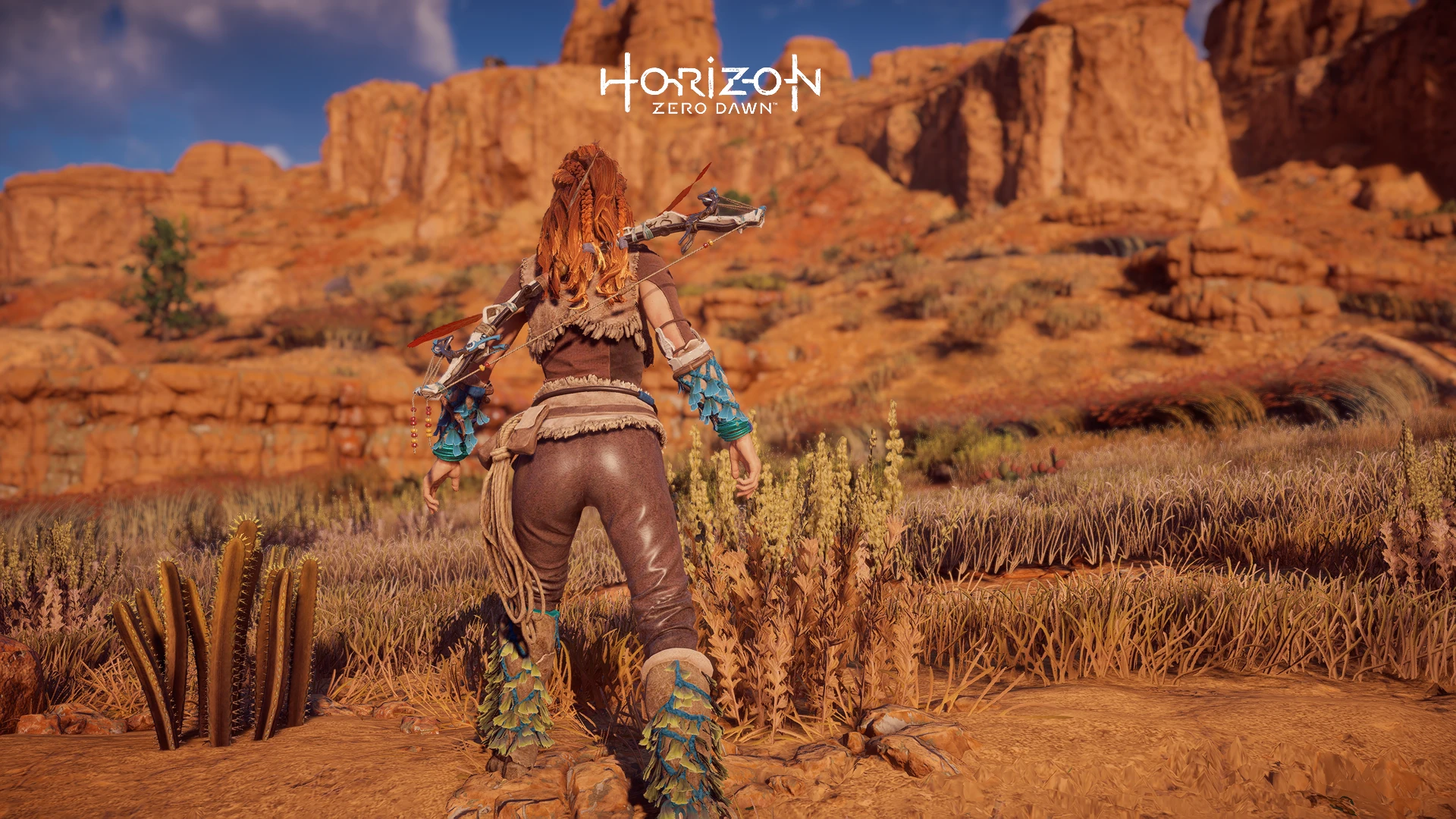 Horizon: Zero Dawn "Элой без юбки"