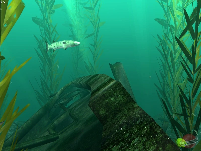 Подводные приключения