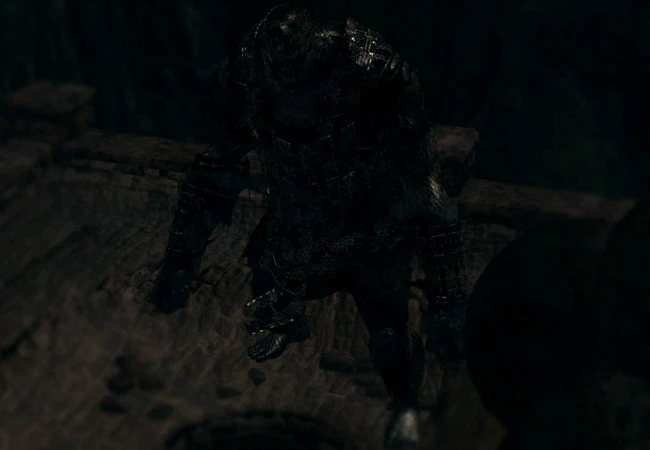 Dark Souls - Мини-боссы