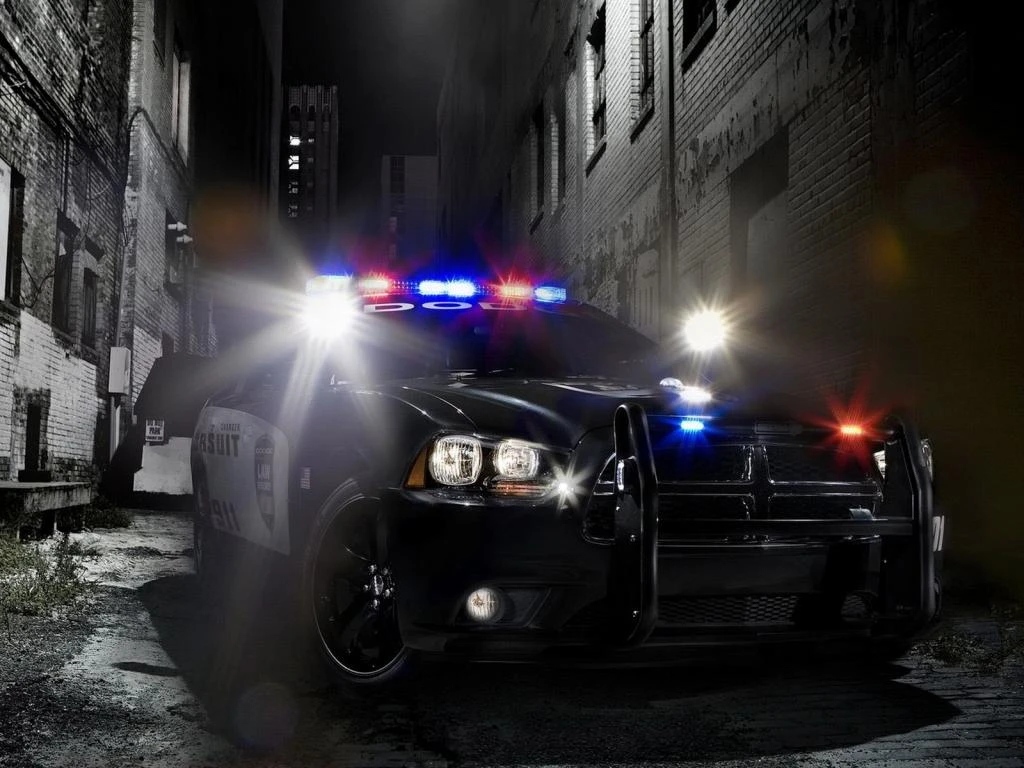 POLICE 10-13 - cообщество дало игре зеленый свет!