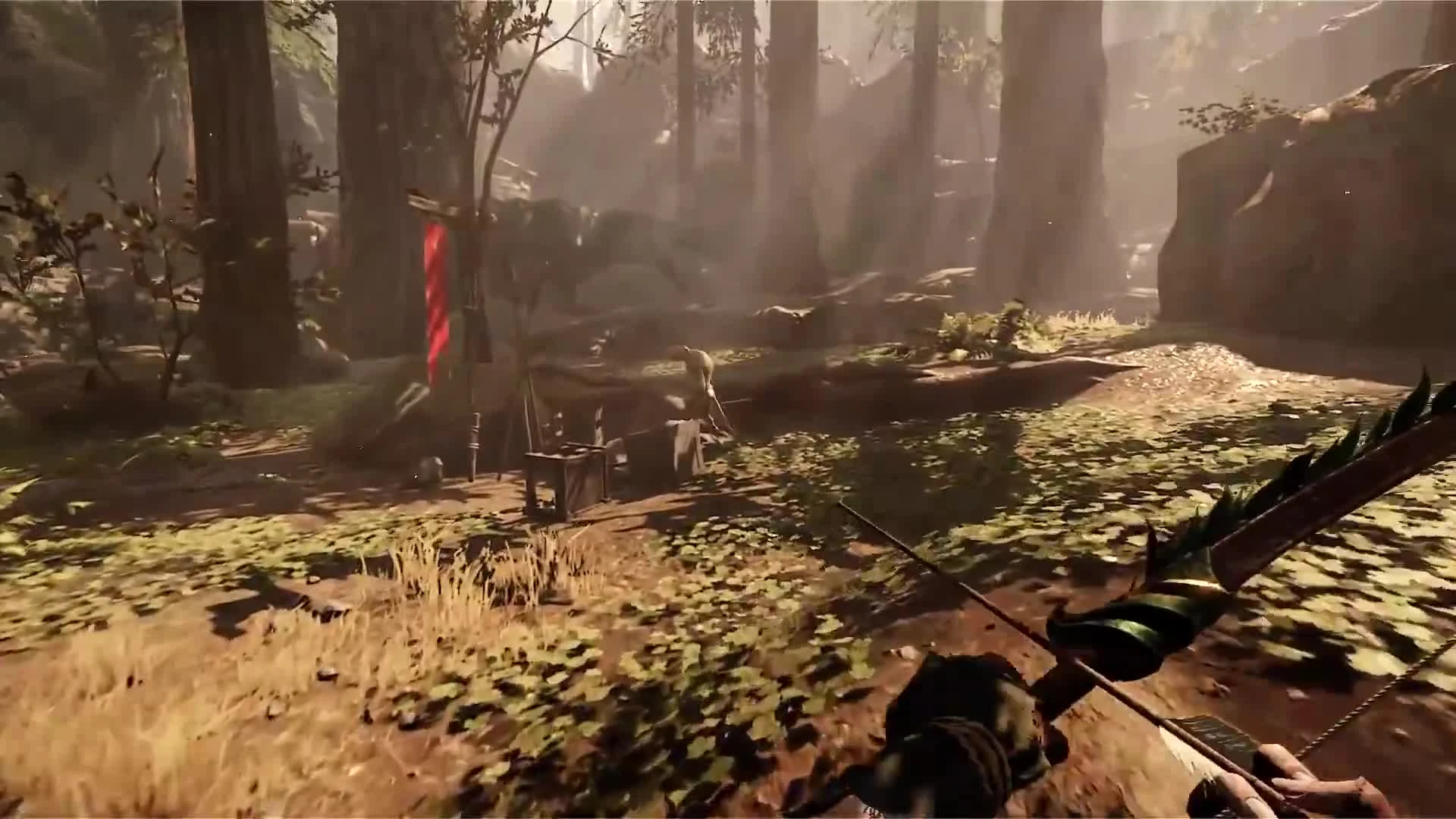 Все подклассы Кериллиан в Warhammer: Vermintide 2 в действии