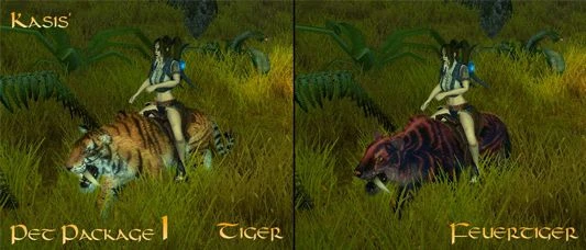 Sacred 2: Fallen Angel "KasisPetPackage1"