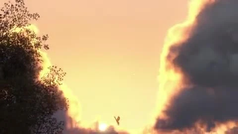 TrackMania 2 Valley "Релизный трейлер"