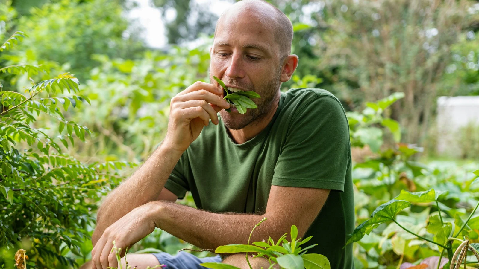 Экоактивисты сорвали турнир по Tekken 7 и обвинили игроков в "уходе от реальных проблем"