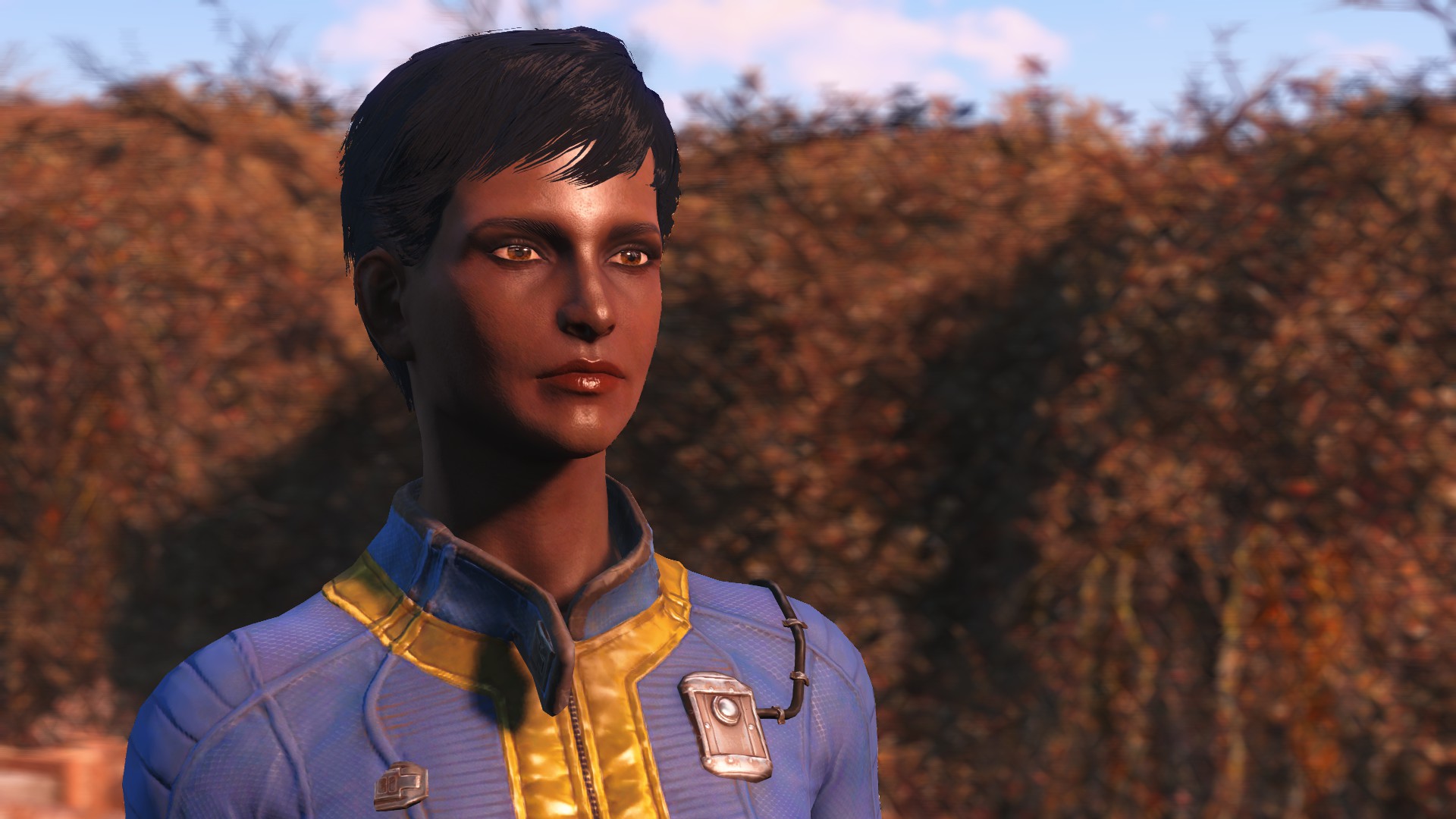 Fallout 4: Сохранение/SaveGame (Nora 38 Lvl, почти все журналы)