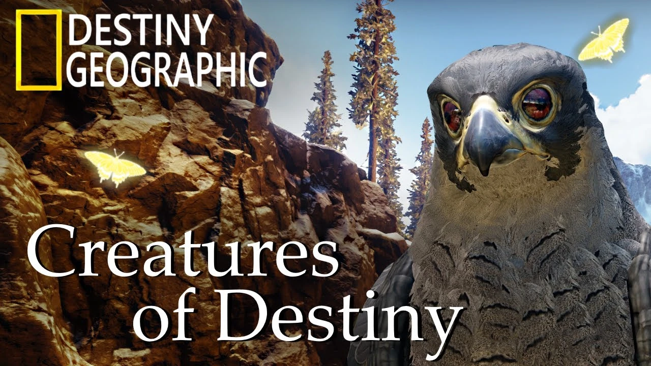 Фанат создал документальный фильм о животных в Destiny 2