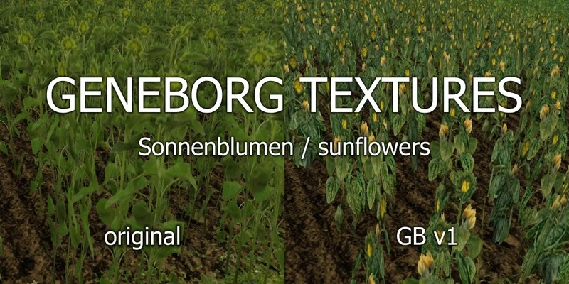 Farming Simulator 15 "Текстуры подсолнечника Sunflowers V 1.0"