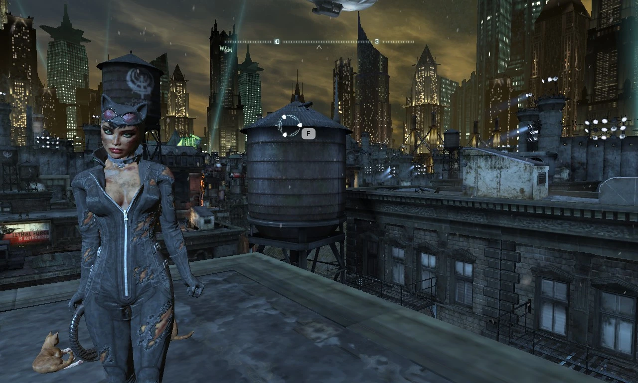 Batman: Arkham City "Женщина кошка без повреждений"