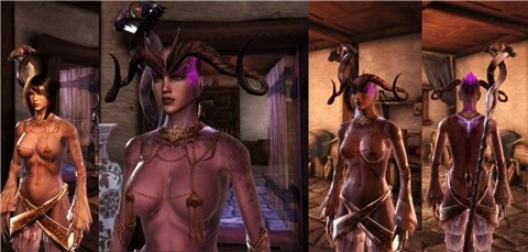 Dragon Age: Origins "Привлекательная Броня (+18)"