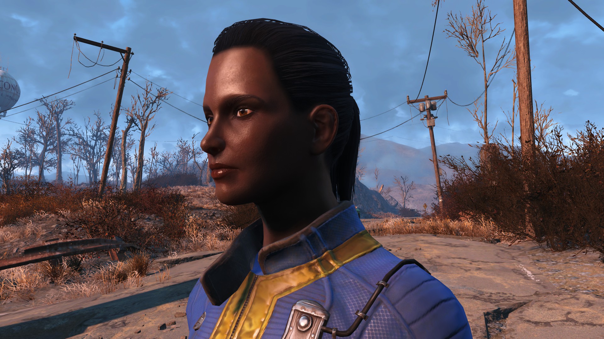 Fallout 4: Сохранение/SaveGame (Нора 50 уровень, почти все журналы)