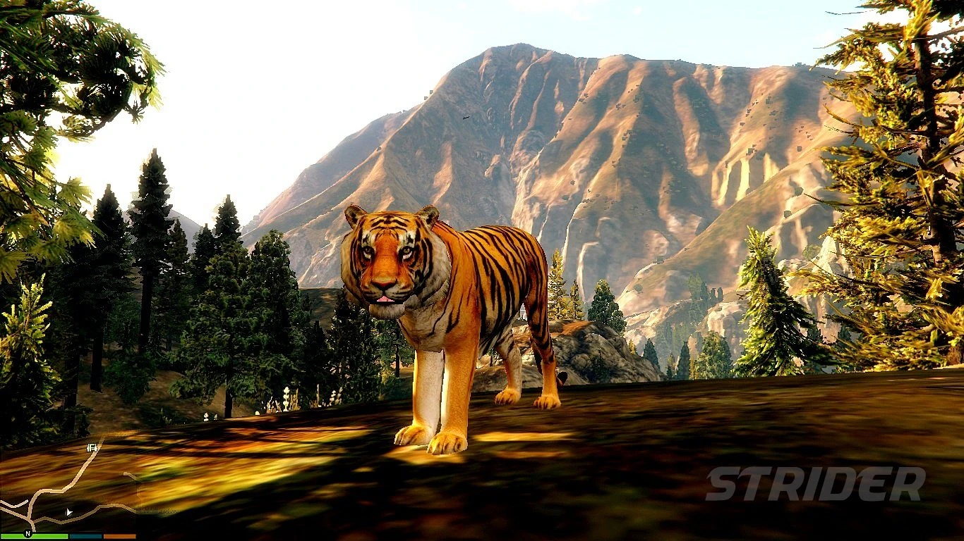 Grand Theft Auto 5 "Bengal Tiger"