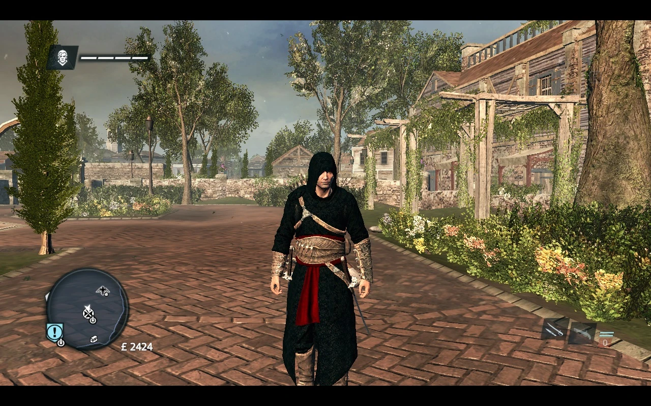 Assassin's Creed: Rogue "Набор цветов для костюма Альтаира"