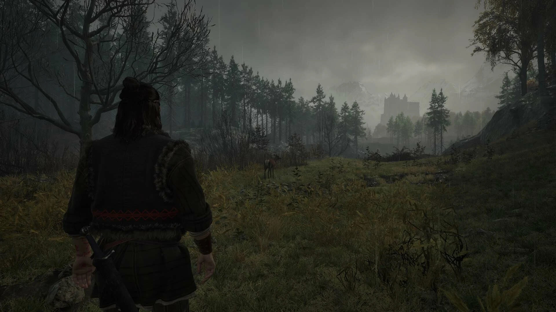 "The Witcher 3 с болячками" - Геймеры оценили демонстрацию The Blood of Dawnwalker