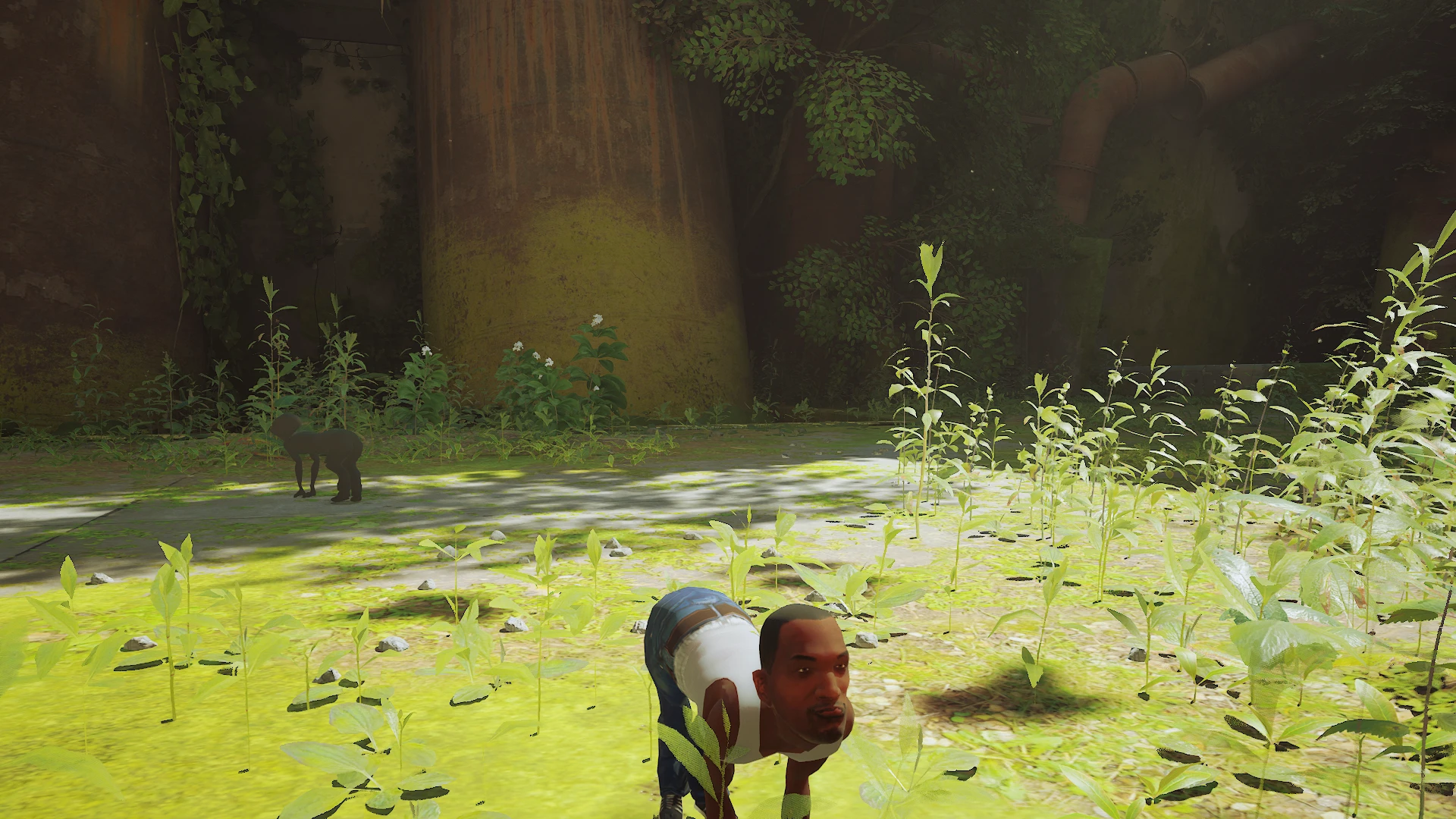 Stray "Шуточный мод - Кот Си-Джей"