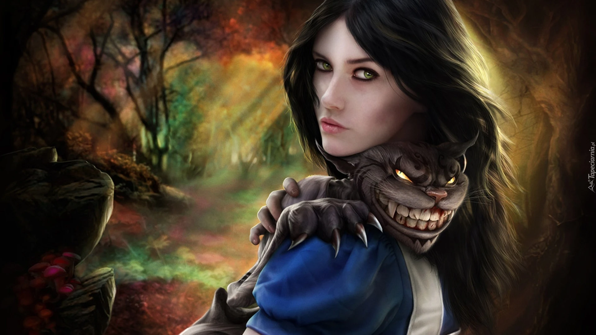 Alice: Madness Returns "NoCD/NoDVD - Запуск лицензии на Windows 10+" [1.0]