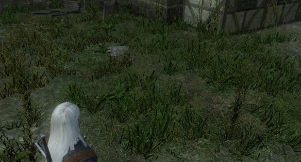 Witcher "Animals Textures"