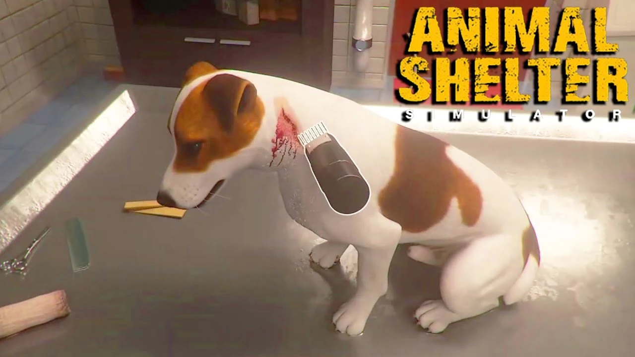 Animal Shelter Simulator выйдет на ПК в Steam в первом квартале 2022 года