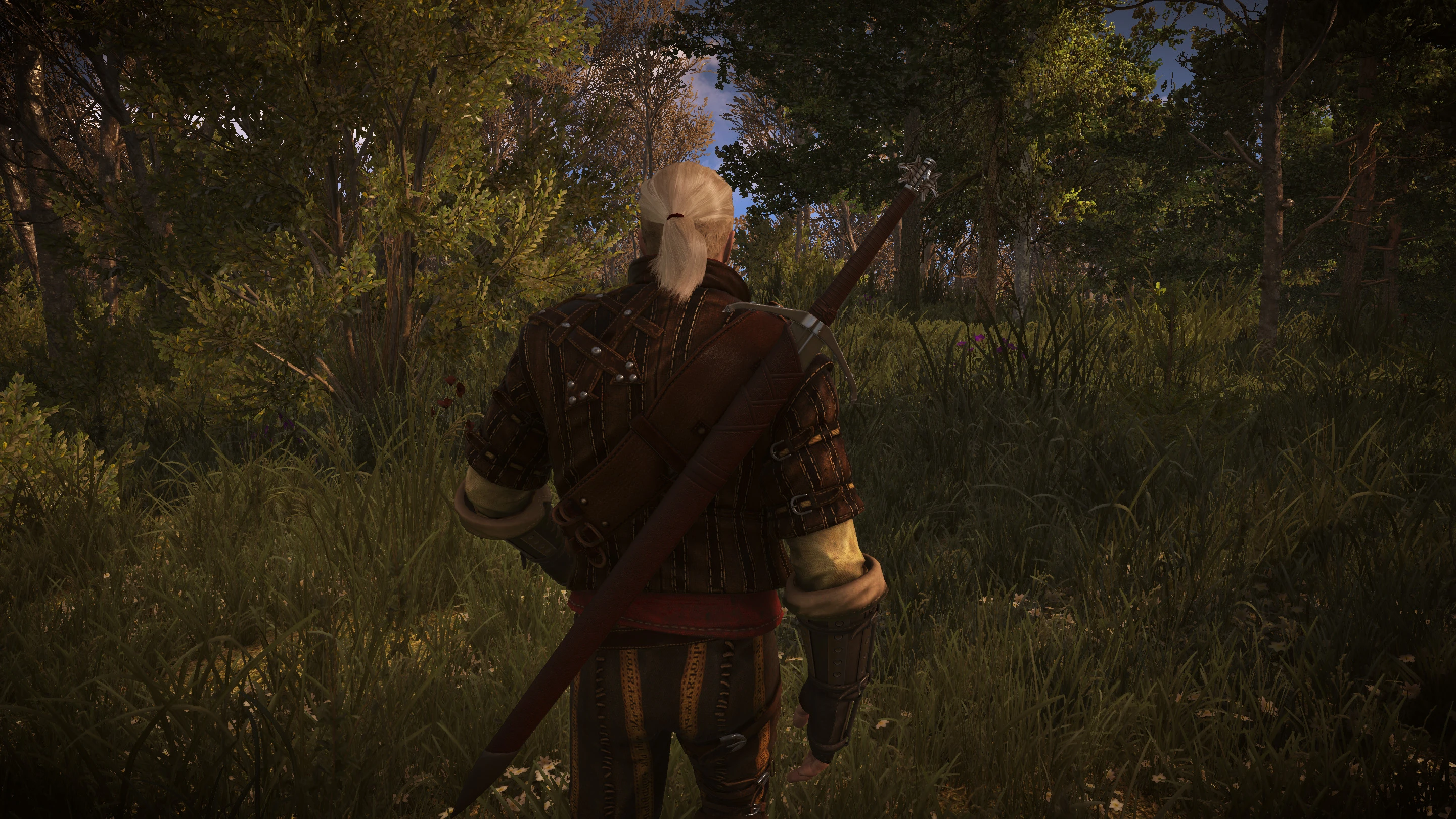 Witcher 3: Wild Hunt "Арондит[LORE]"