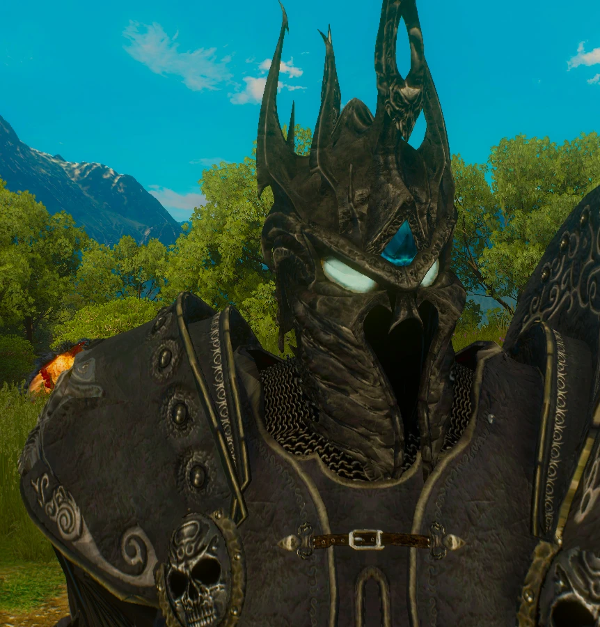 Witcher 3 "Доспех Короля-Лича"