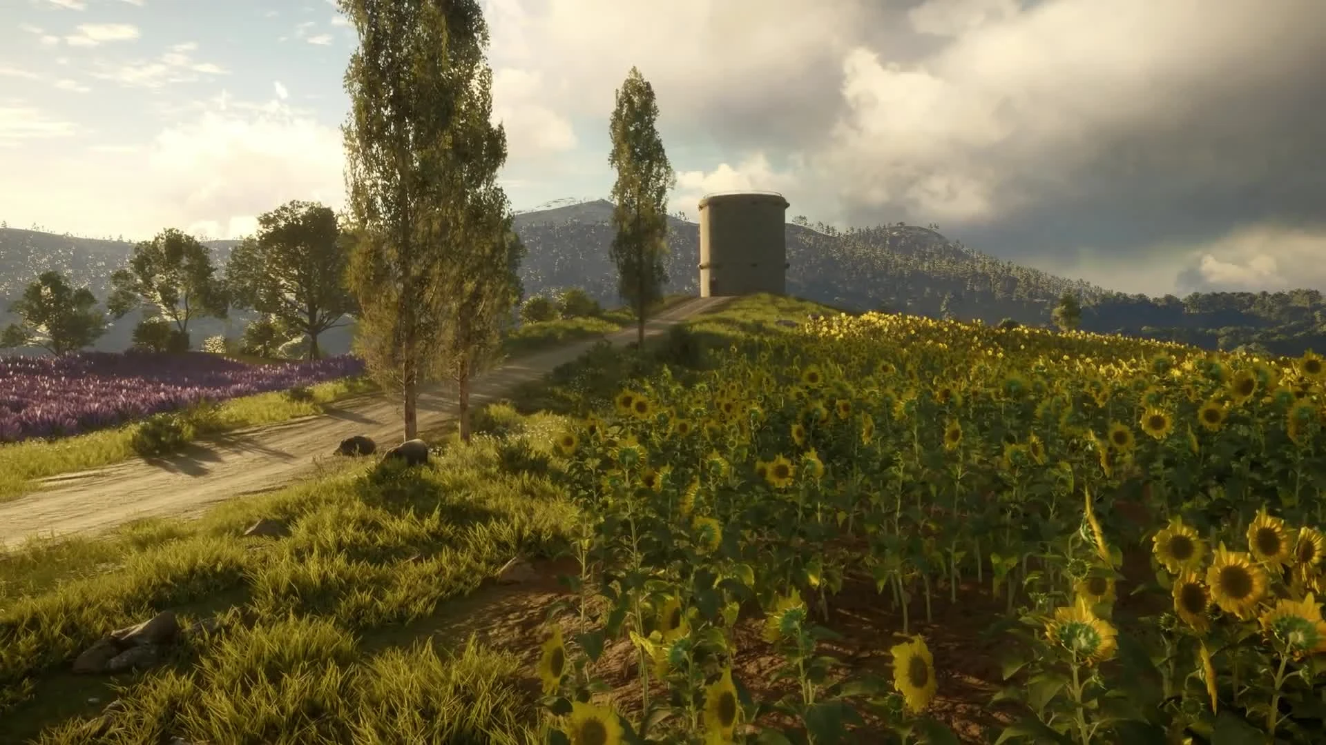 theHunter: Call of the Wild - Новый заказник Cuatro Colinas. Трейлер