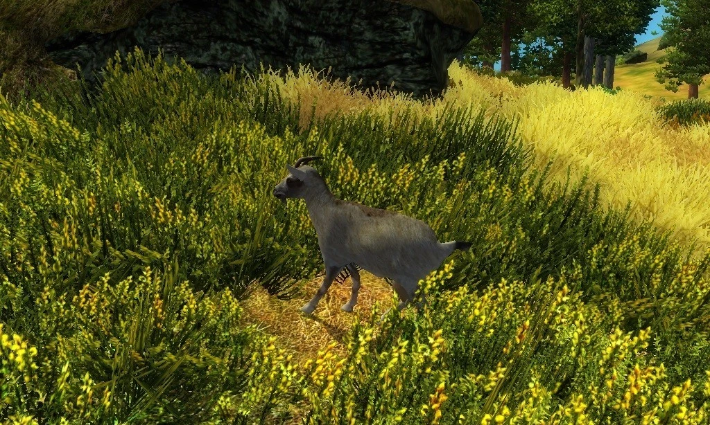 TES 4: Oblivion "Охота и расширение фауны Сиродила"