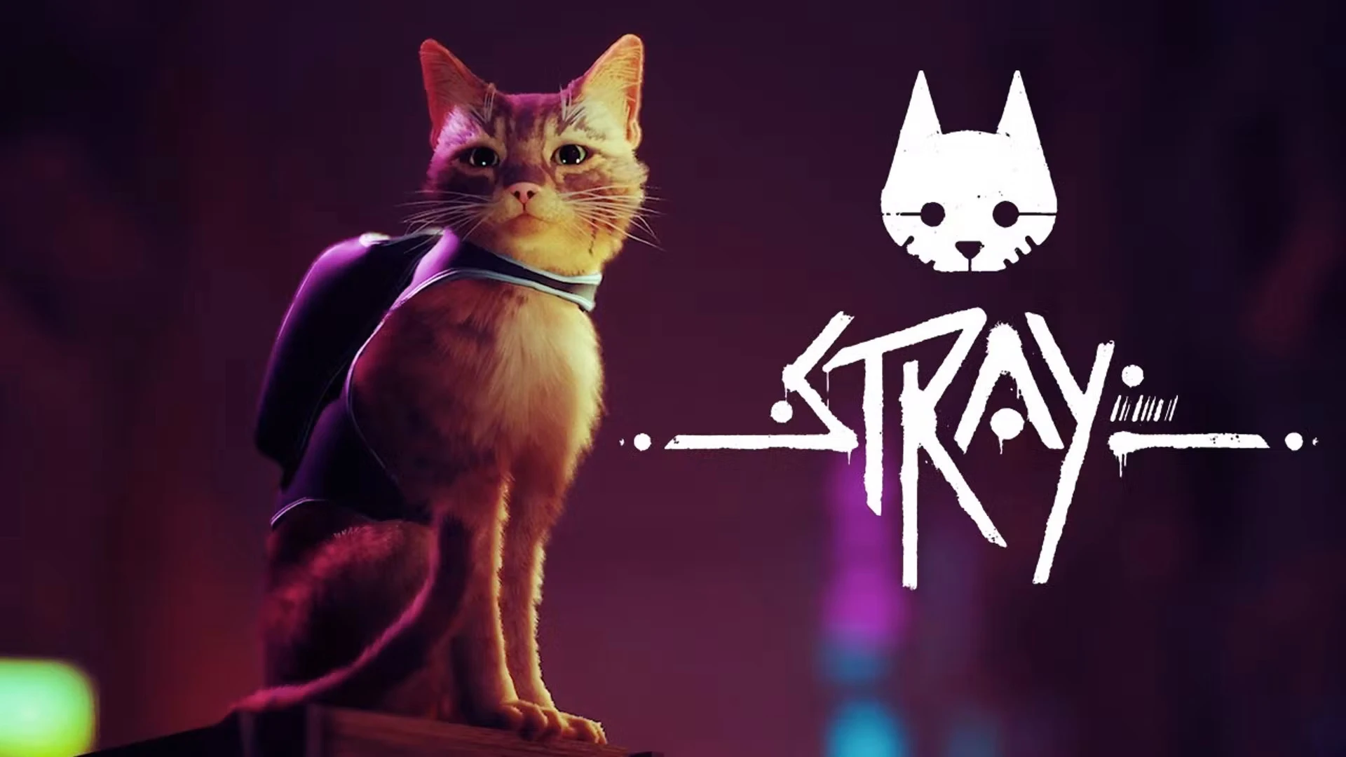 Ожидаемая инди-игра Stray, похоже, нацелилась на летнюю дату релиза