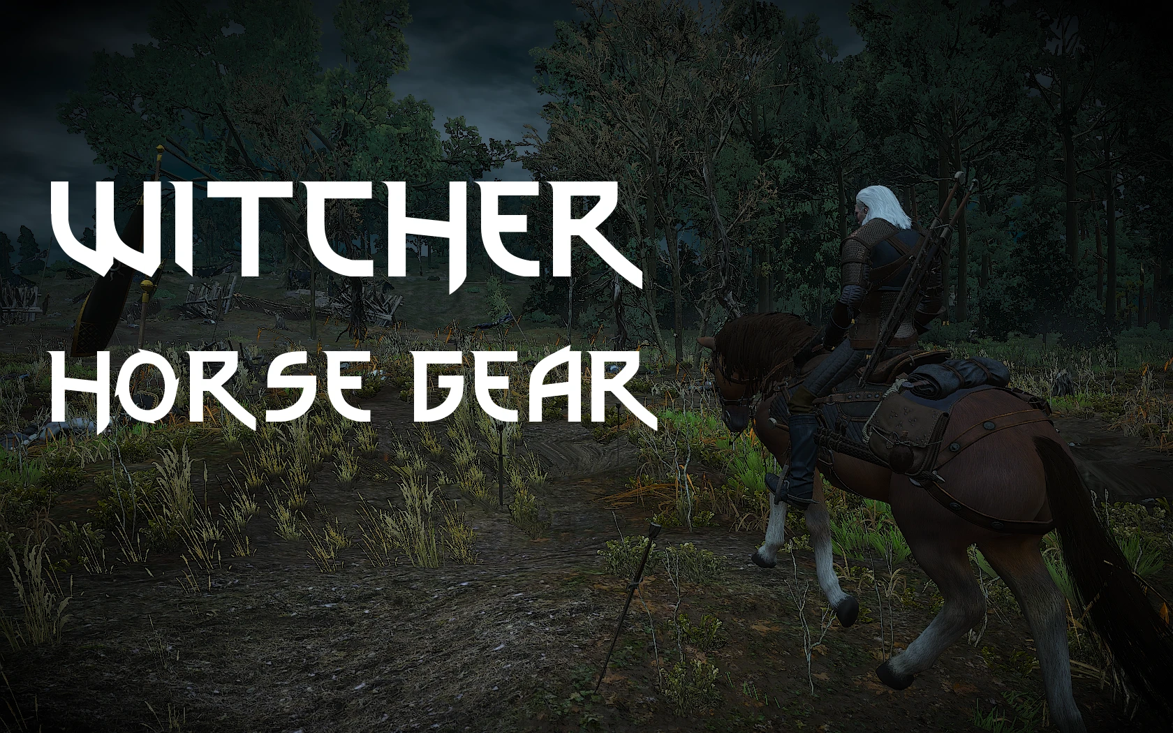 Witcher 3 "Ведьмачья броня для Плотвы"