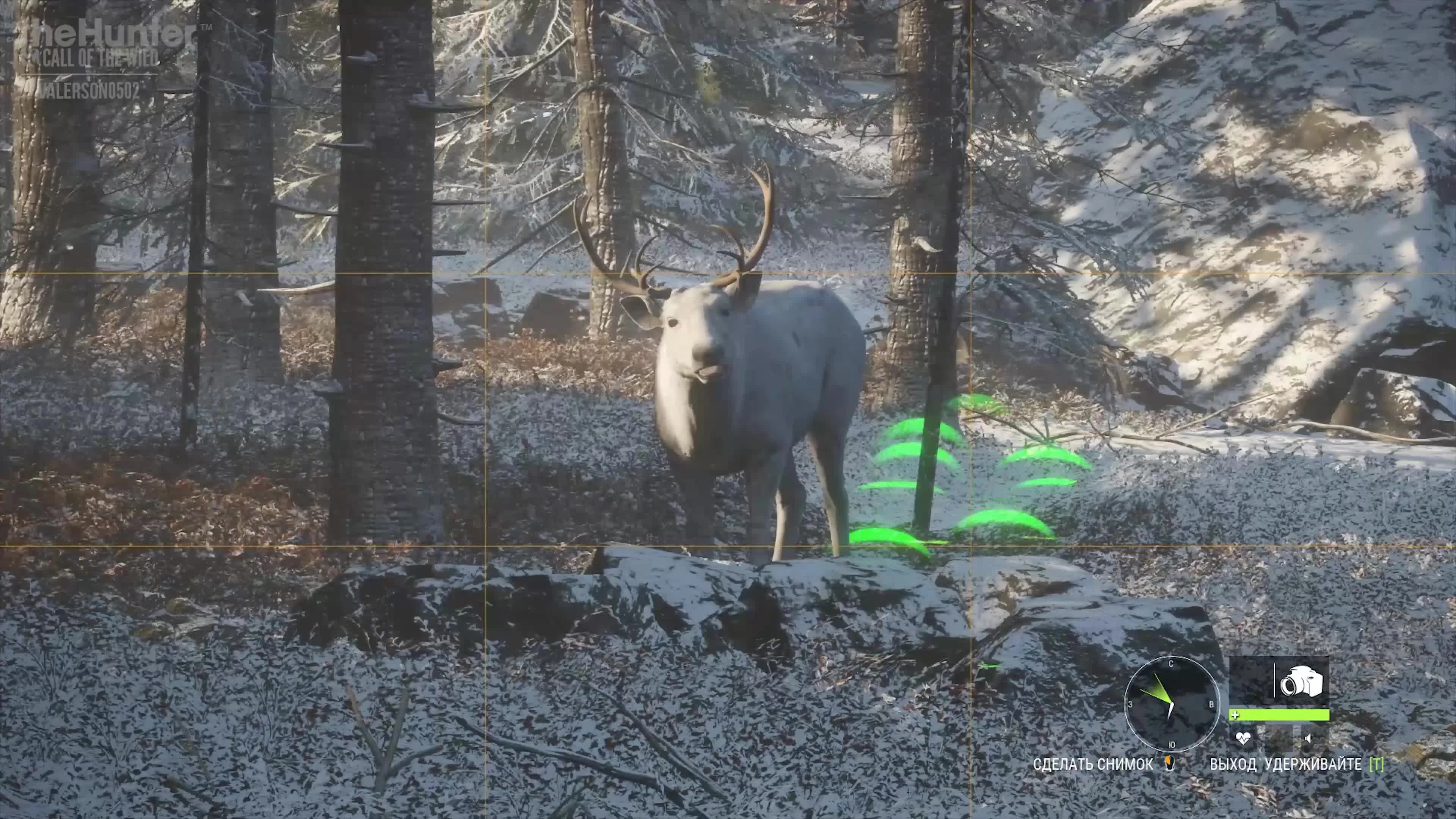 the Hunter: COTW - Встреча с редким животным
