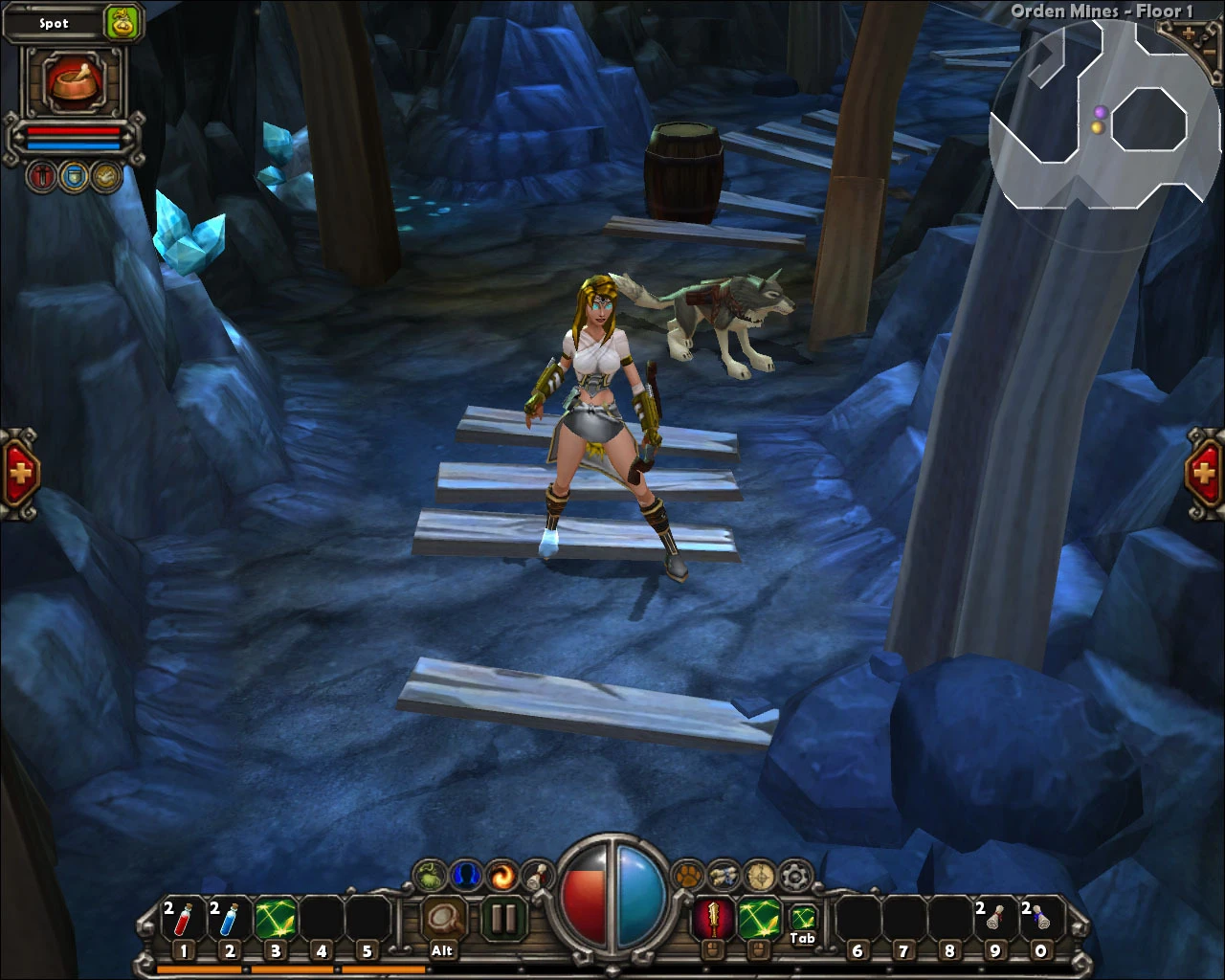 Torchlight "Whitecloak Vanquisher"