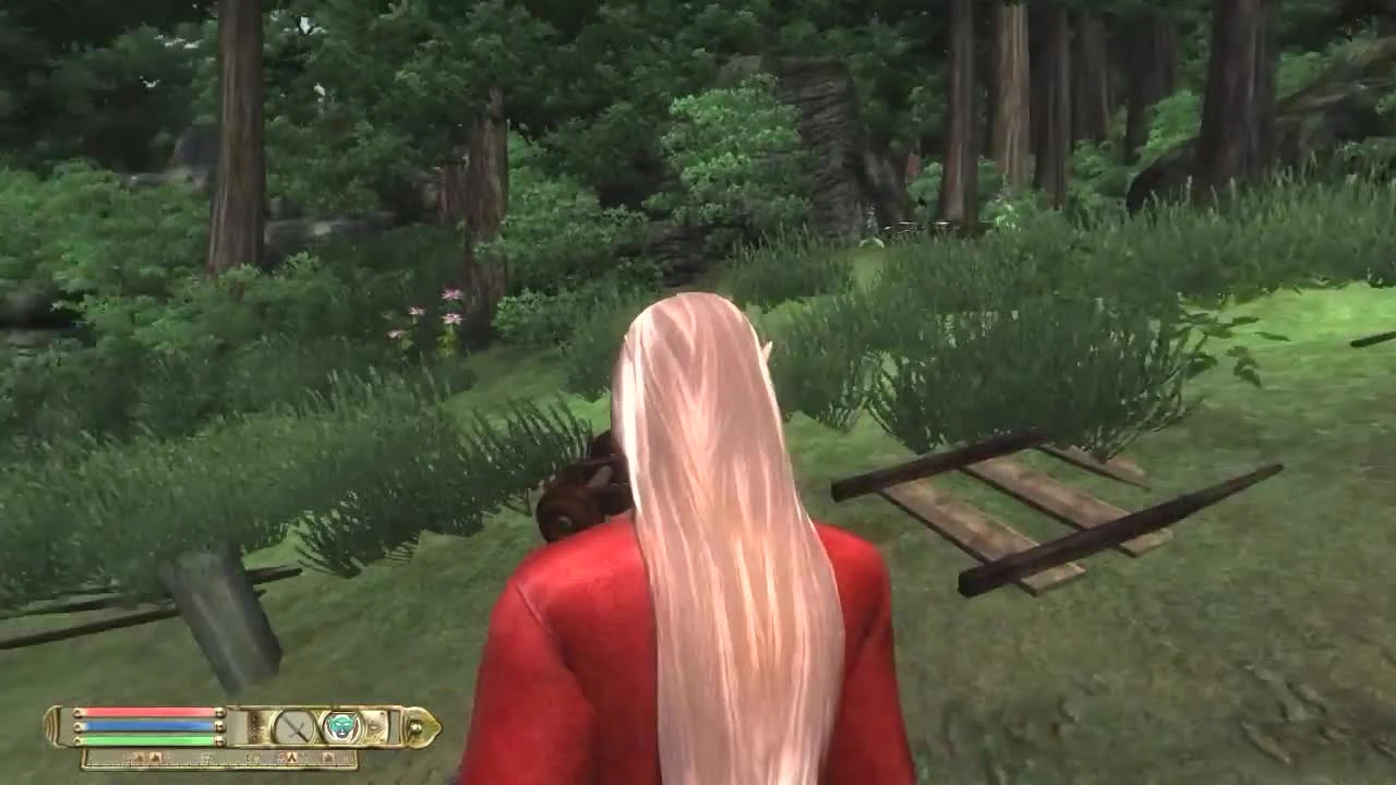 Нерим. На краю судьбы. (Nehrim. At Fate's Edge). Прохождение. Часть 9