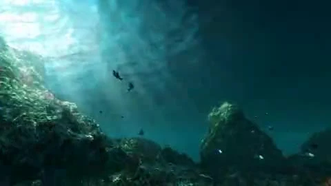 Monster Hunter 3 Ultimate "Кинематографичная заставка игры"