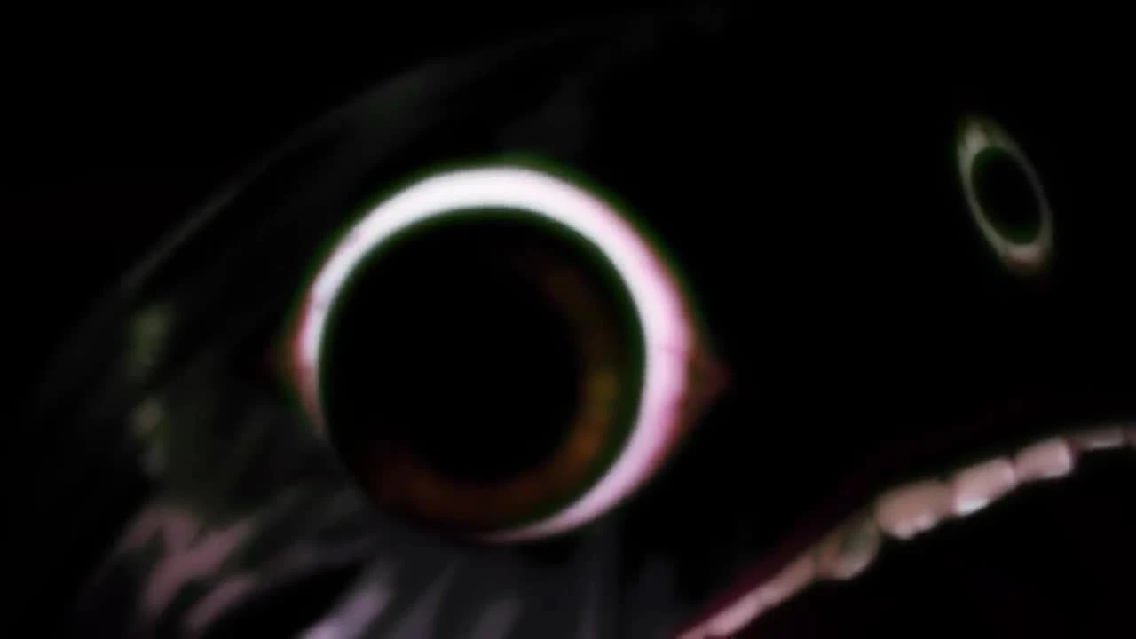 Yomawari: The Long Night Collection - Трейлер анонса на Nintendo Switch