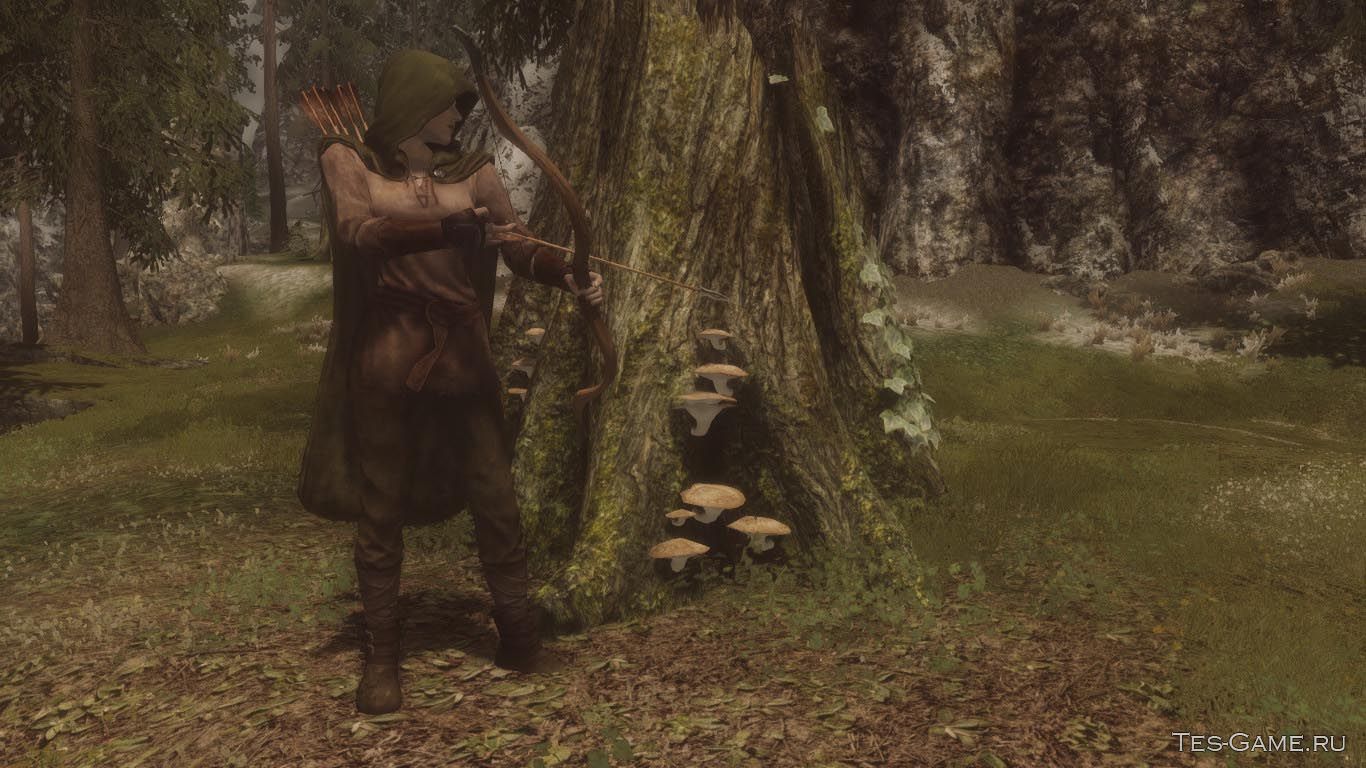 Elder Scrolls 5: Skyrim "Броня Вора"