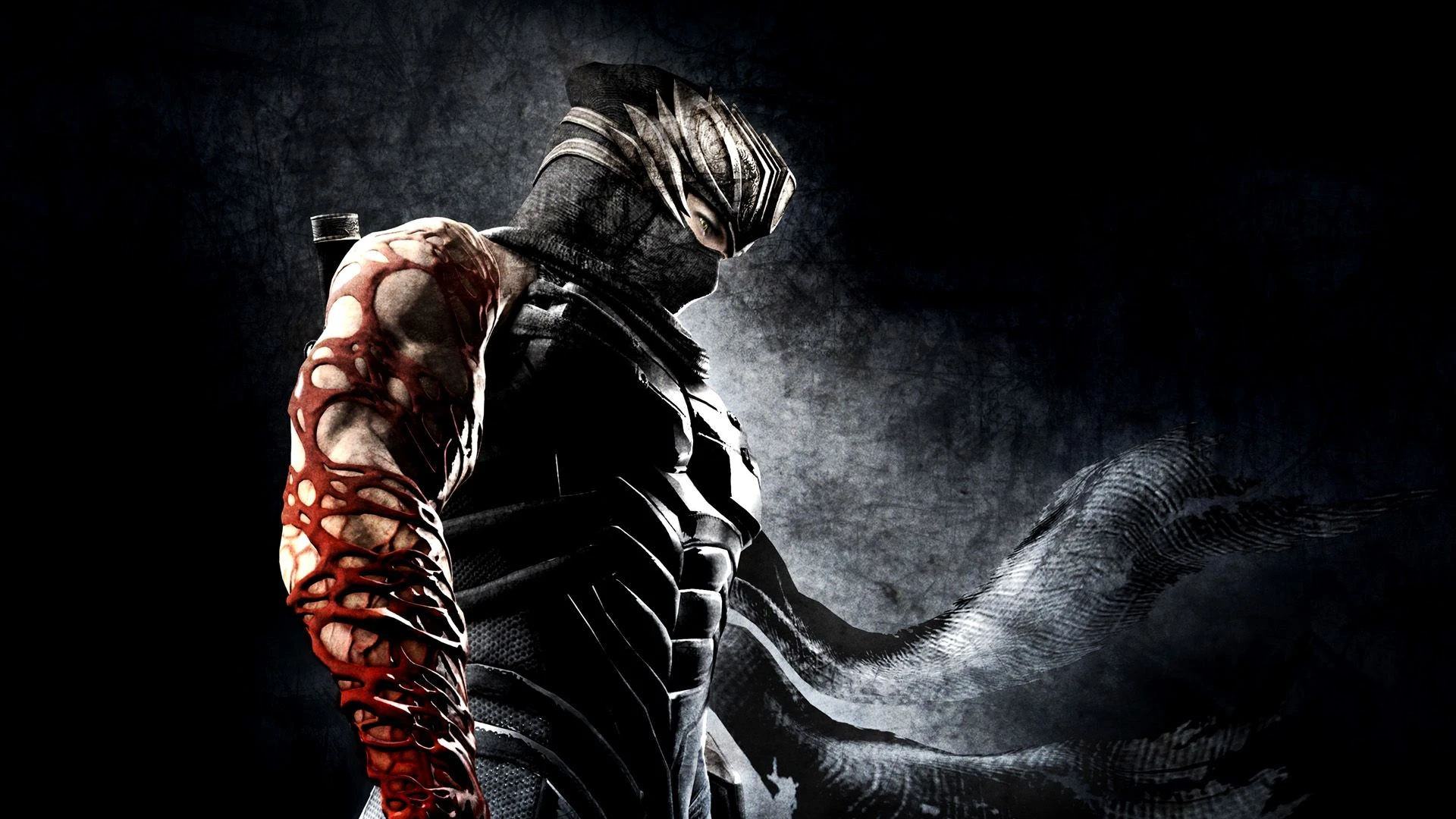 PC-версия Ninja Gaiden 3: Razor's Edge получила текстовый русификатор