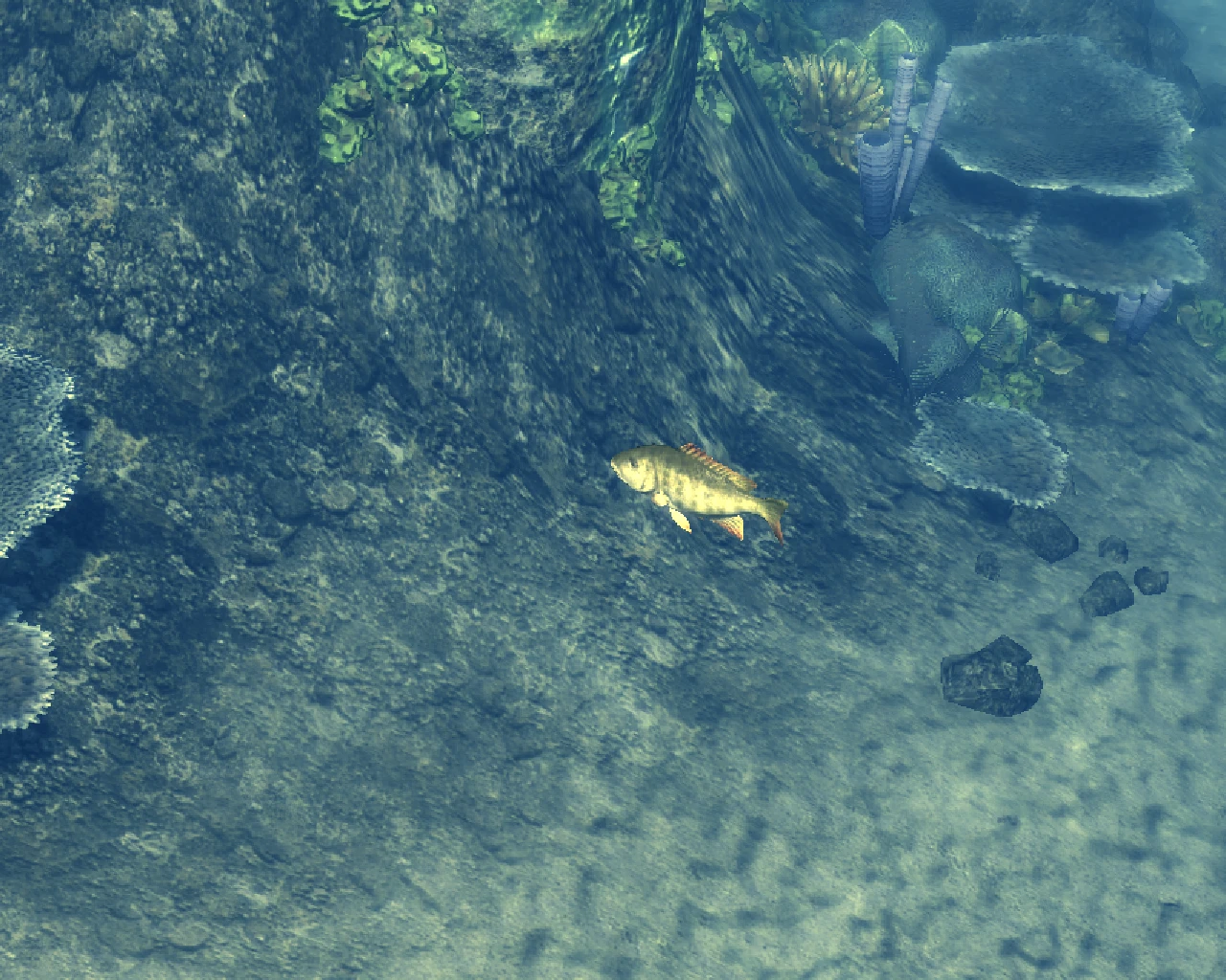 Релиз Spearfishing перенесен на первый квартал 2010-го года