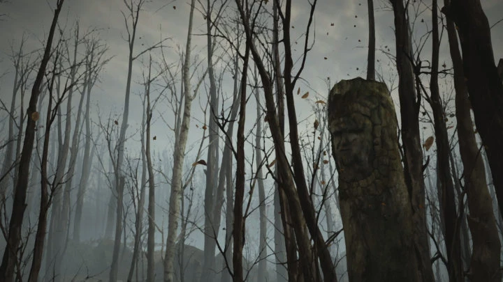 Datura - между жизнью и смертью