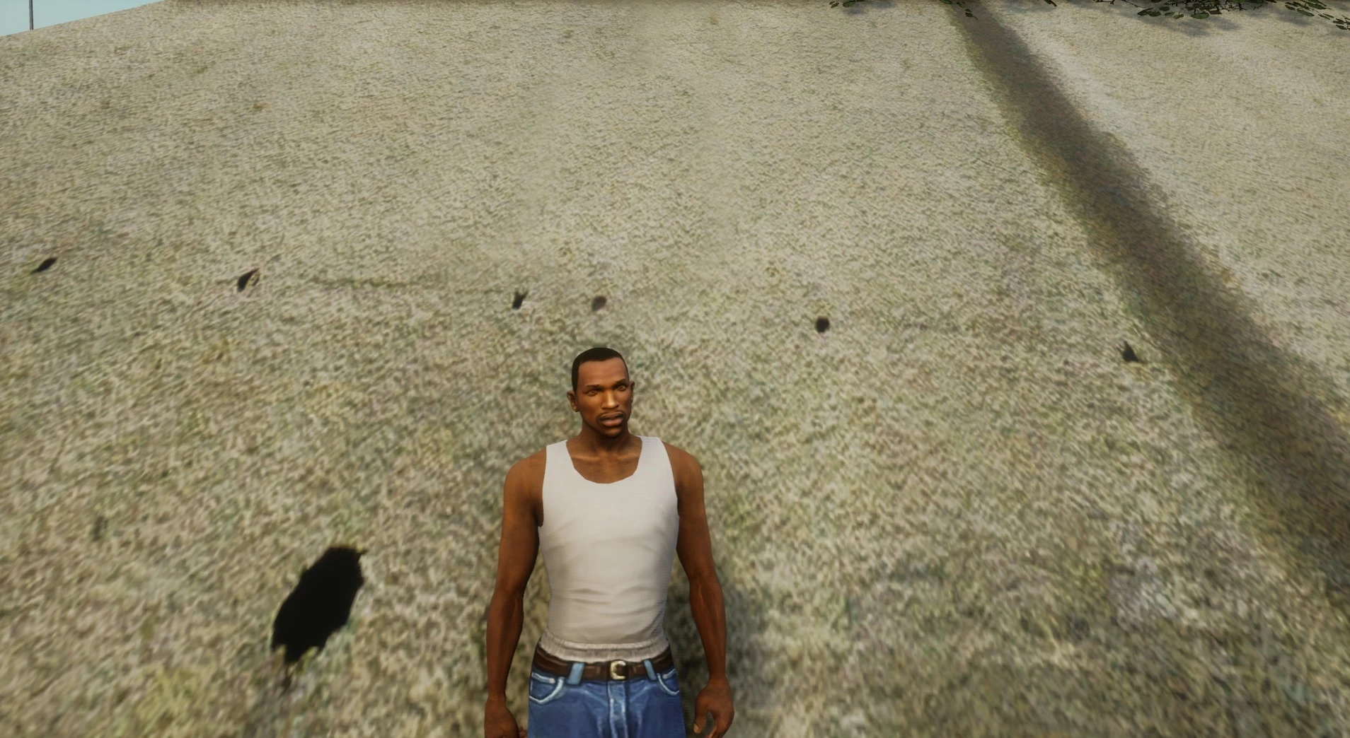 Grand Theft Auto: The Trilogy (San Andreas) "Правильный ретекстур Карла (HD текстуры для игрока) v1.1"