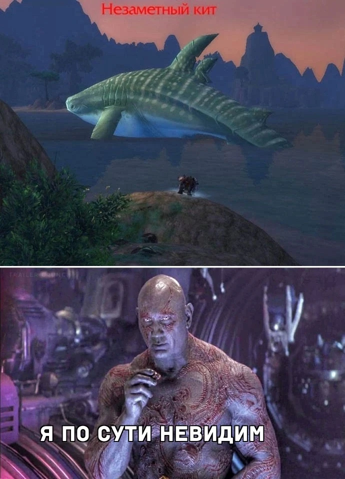 Этот кит сама незаметность