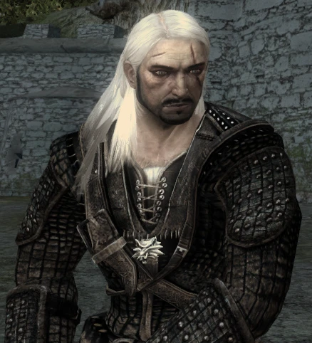 Witcher "TW1 Dark Wolf"
