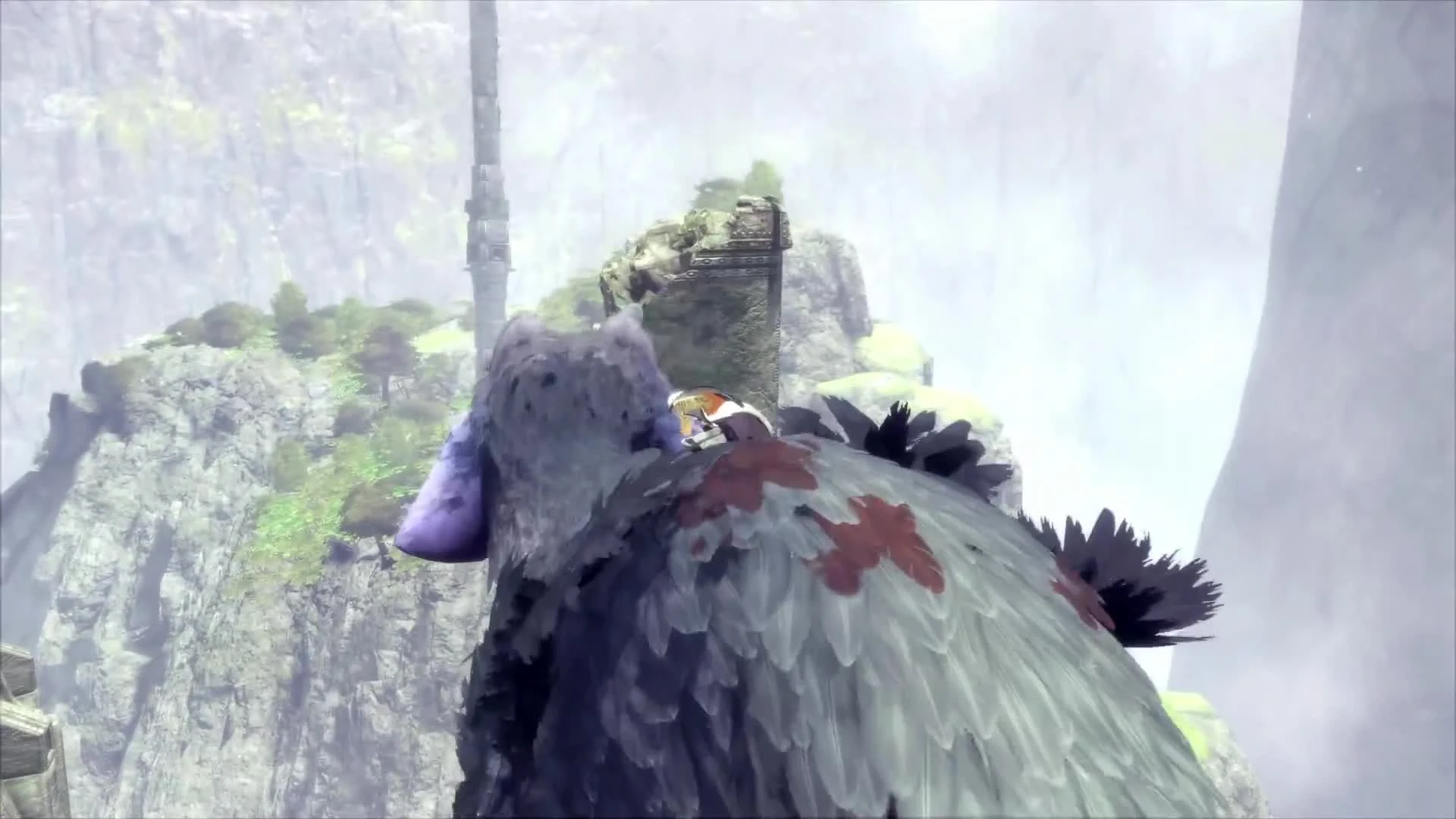 Почему THE LAST GUARDIAN КИНЦО ?? [HIKARO]