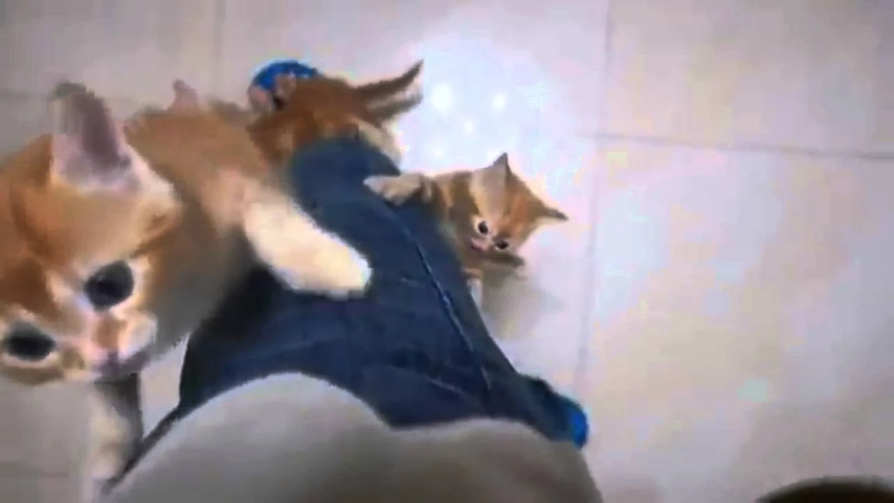 Убить Колосса!